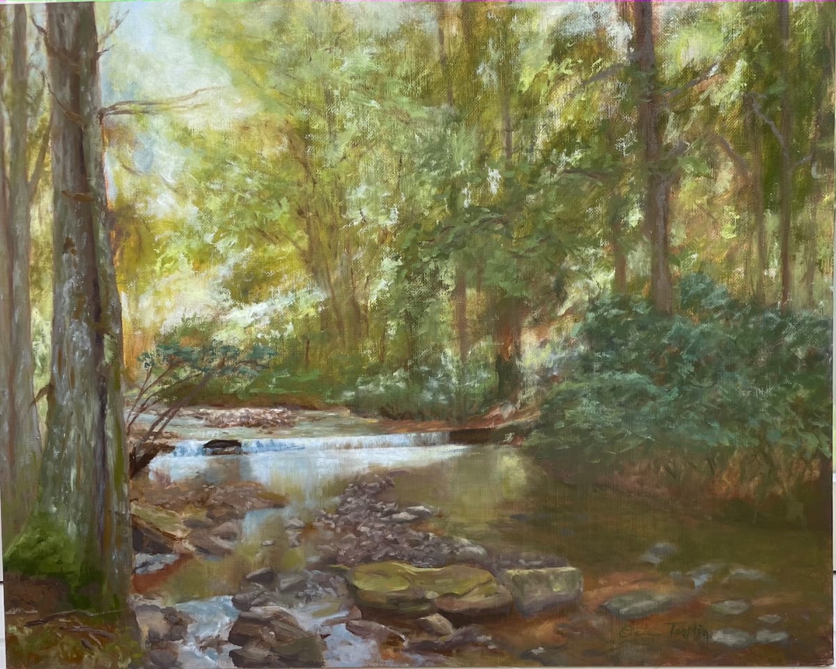 Mountain Stream by Ocie Templin, Image 1.