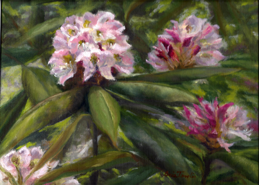 Mountain Laurel 1 by Ocie Templin 