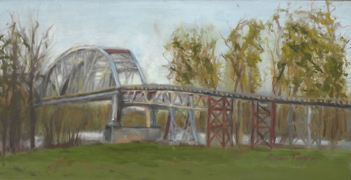 New Harmony Bridge to IL by Ocie Templin 