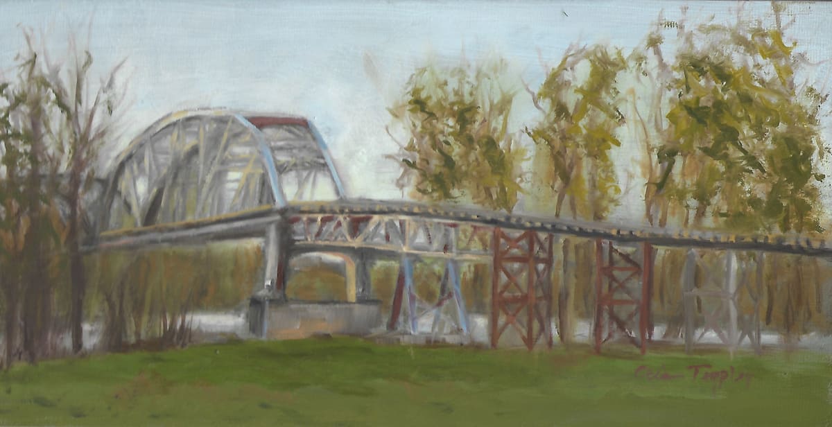 New Harmony Bridge to IL by Ocie Templin, Image 1.