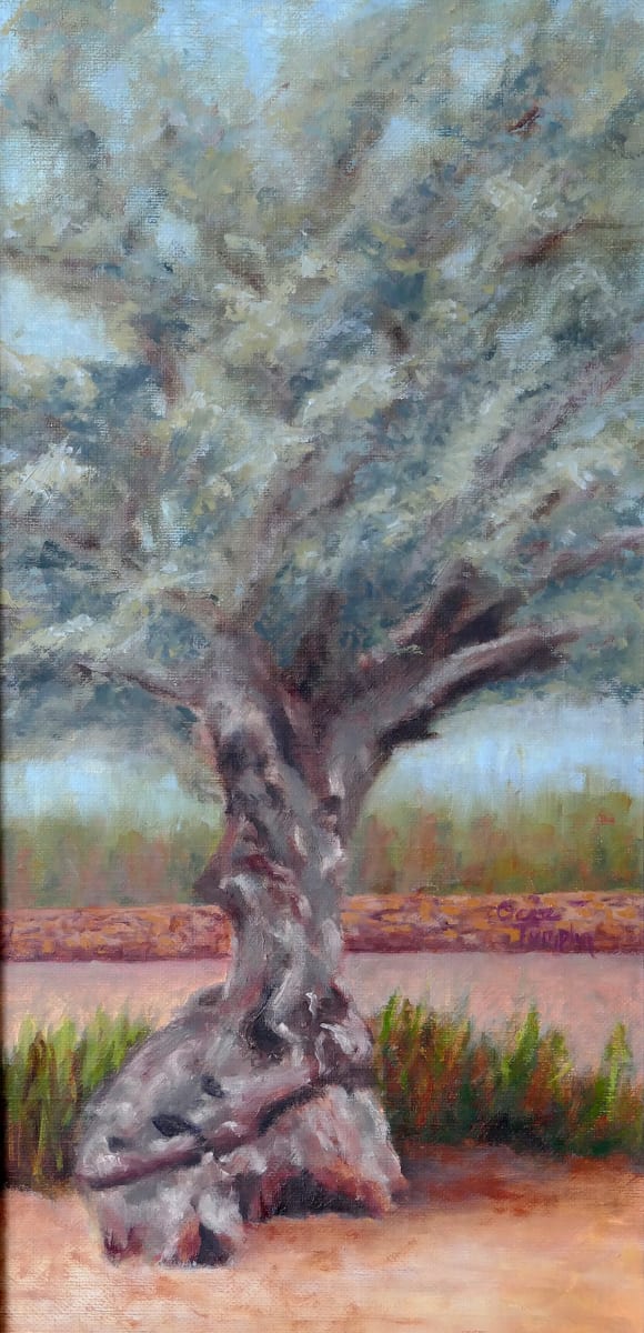 Olive Tree, Image 1.