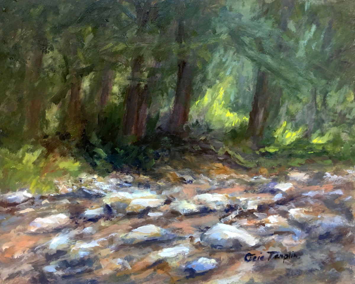 Rocky Creek Bed by Ocie Templin 