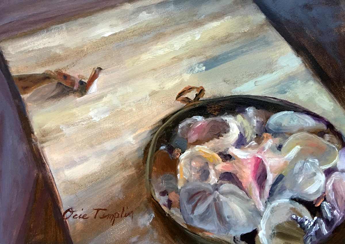 Sea Shells by Ocie Templin, Image 1.