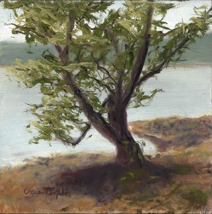 TN River by Ocie Templin, Image 1.