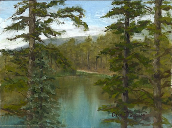 Between the Pines by Ocie Templin, Image 1.