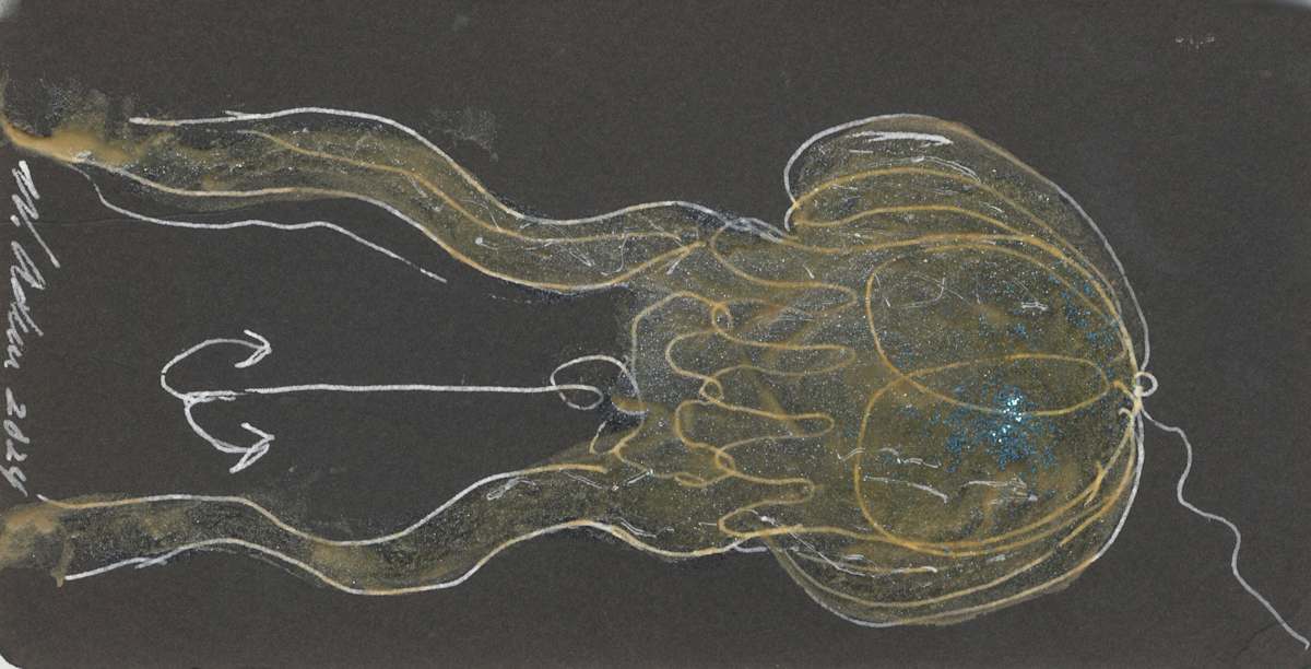 Coelenterata Lure by William B. Adair, Image 1.