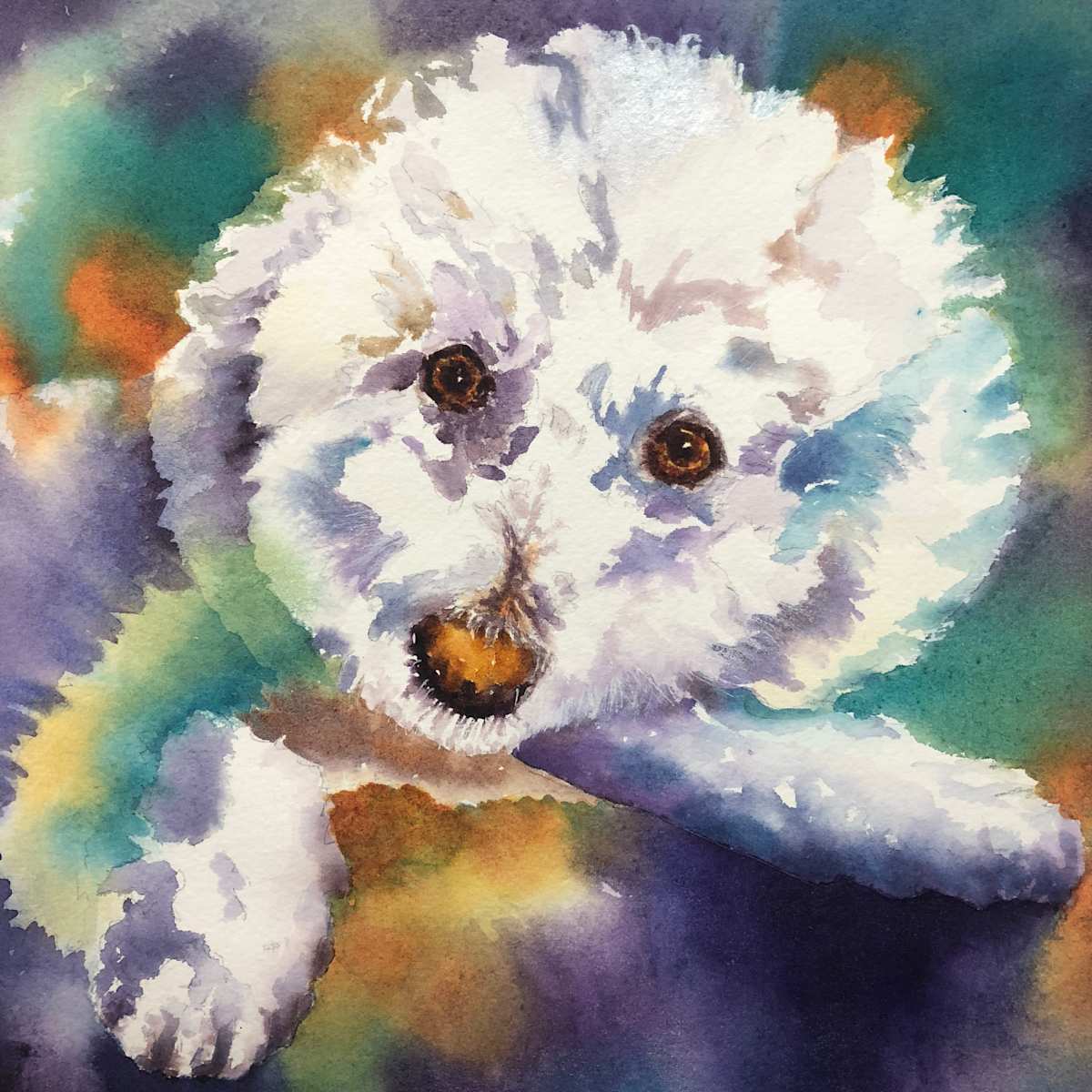 Kenji by Tara Moorman, Image 1.