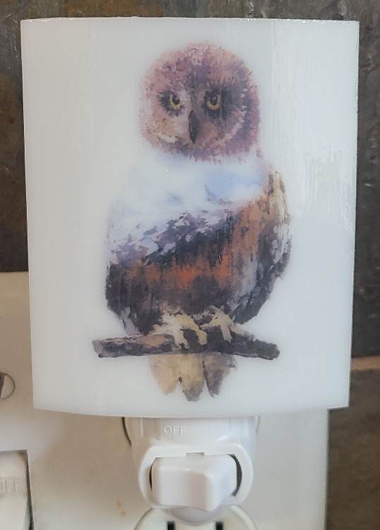 Nightlight-Owl Mountain Scene by Kathy Kollenburn 