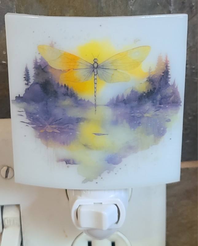 Nightlight-Dragonfly over Pond by Kathy Kollenburn 