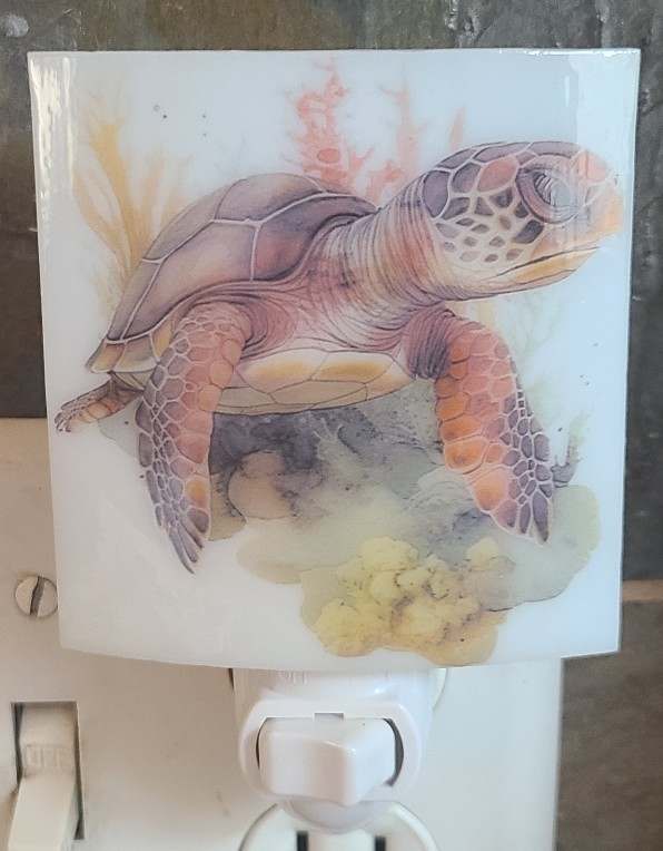 Nightlight-Sea Turtle by Kathy Kollenburn 