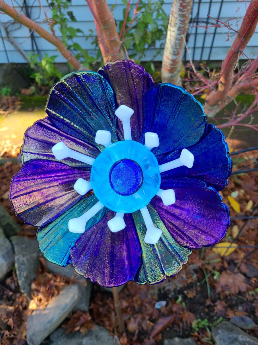 Garden Flower-Blue Irid with White, Light Blue Center 