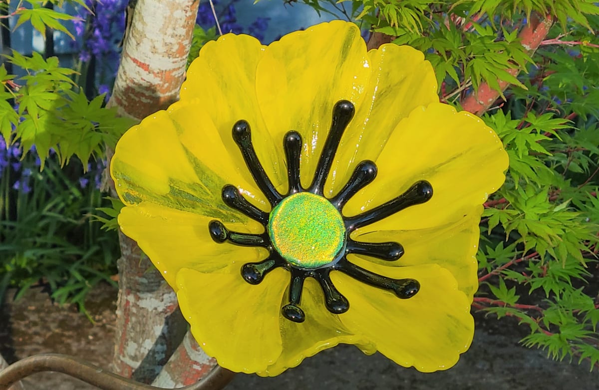 Garden Flower-Yellow Streaky with Black Stamens and Dichroic Center 