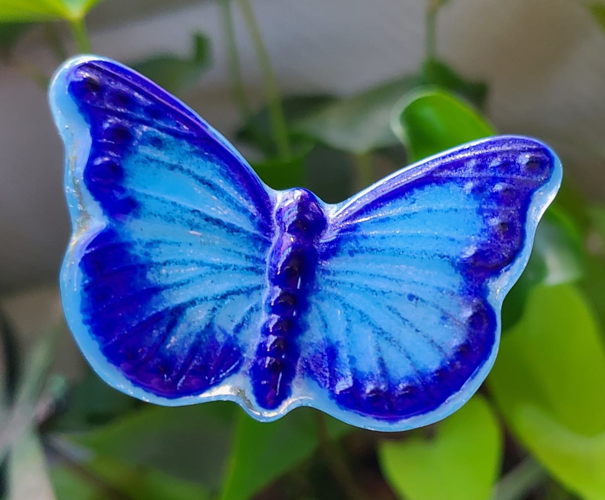 Plant Pick-Blue Butterfly 