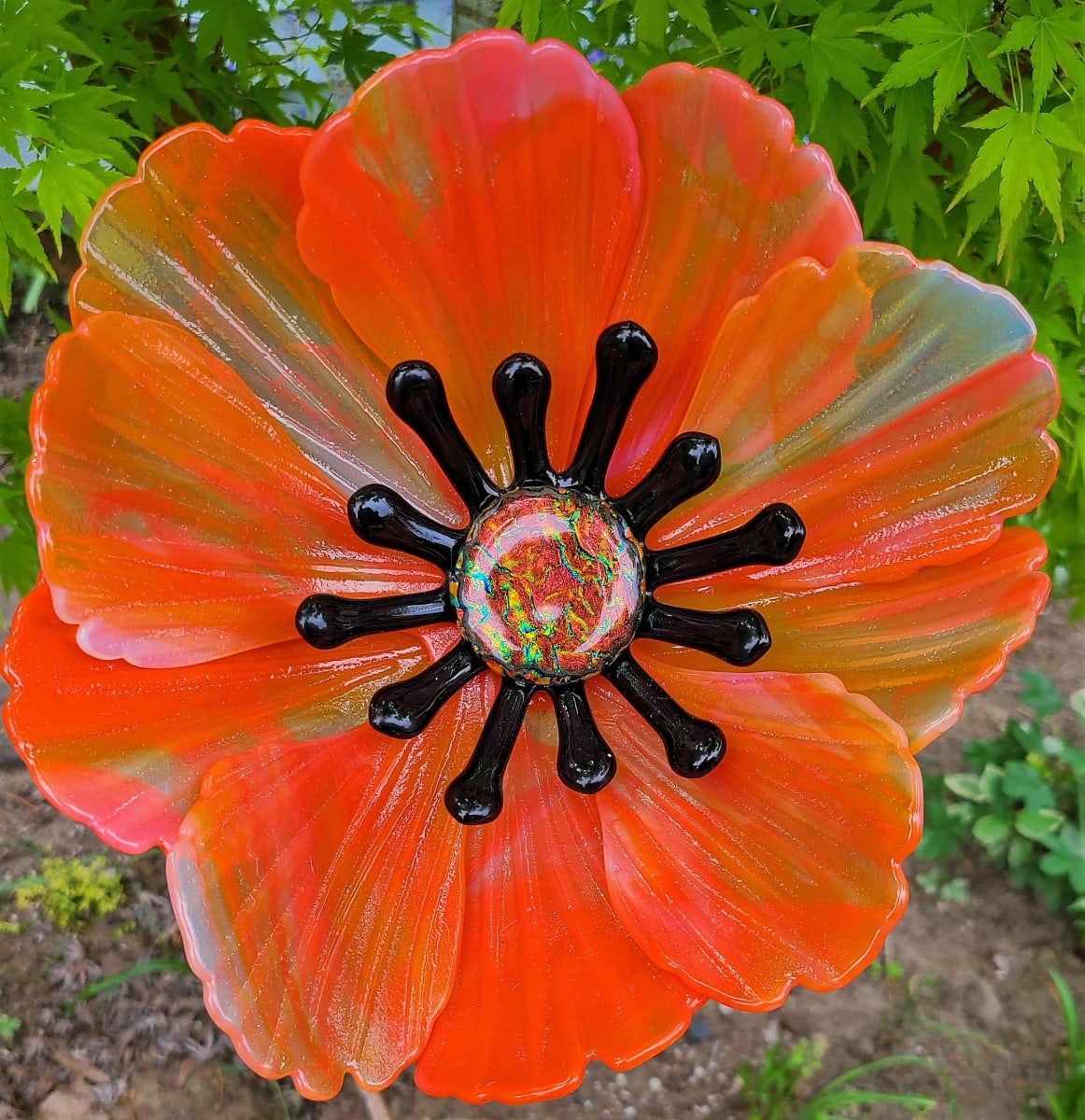 Garden Flower Orange Opaline Streaky With Black Artwork Archive