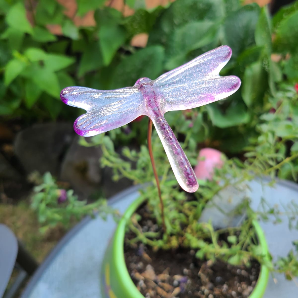 Plant Pick-Small Dragonfly in Purples 