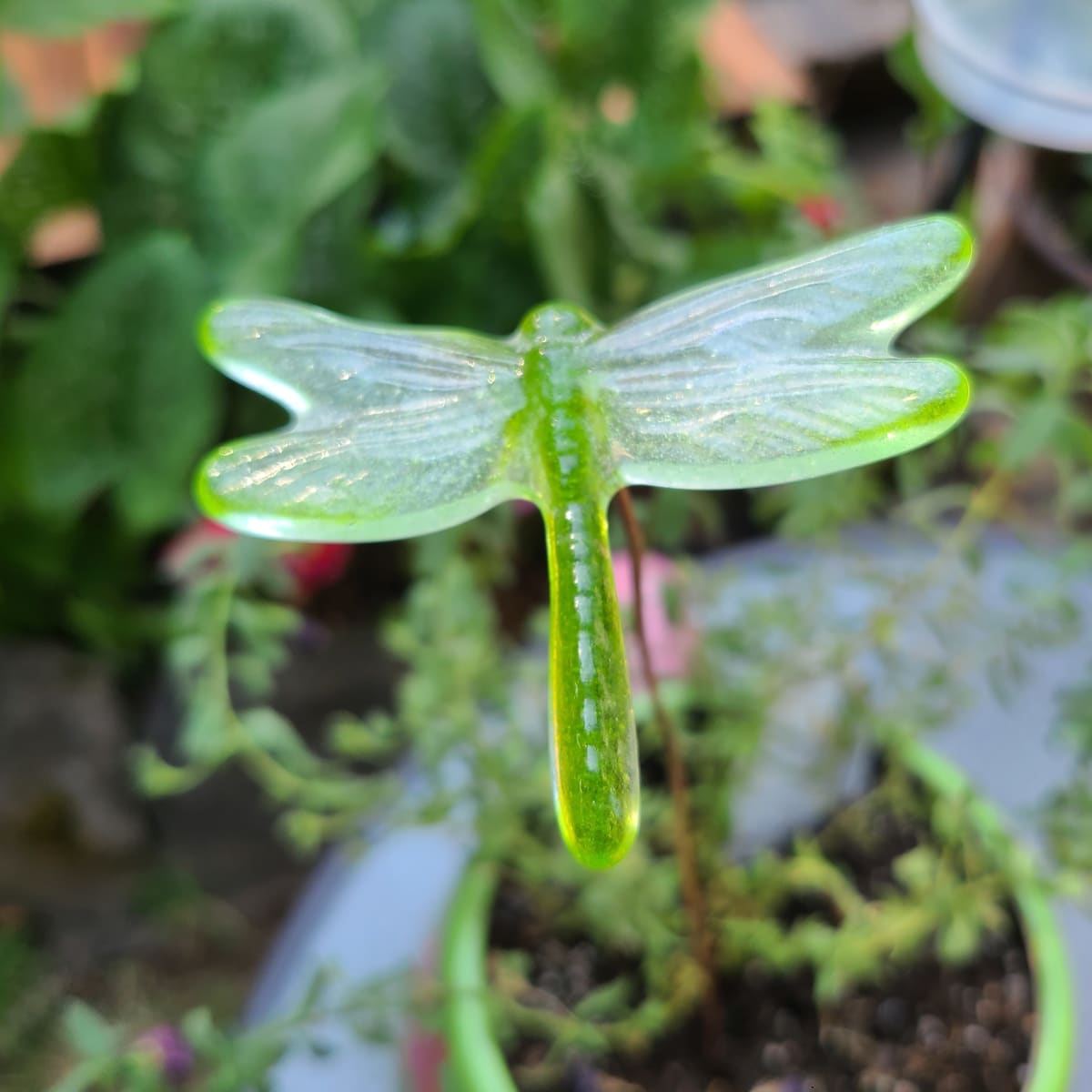 Plant Pick-Small Dragonfly in Greens by Kathy Kollenburn 