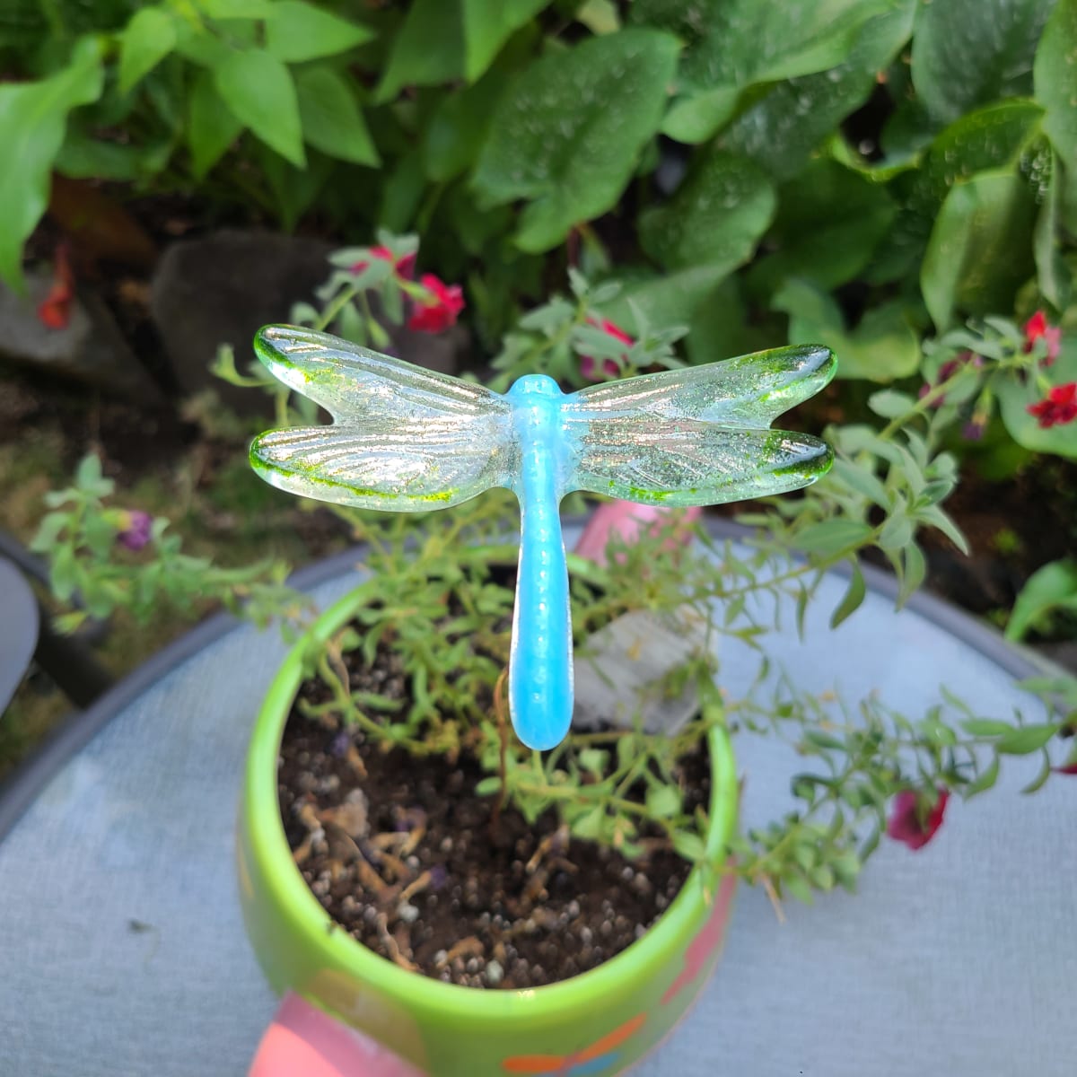 Plant Pick-Medium Dragonfly in Cyan/Green by Kathy Kollenburn 