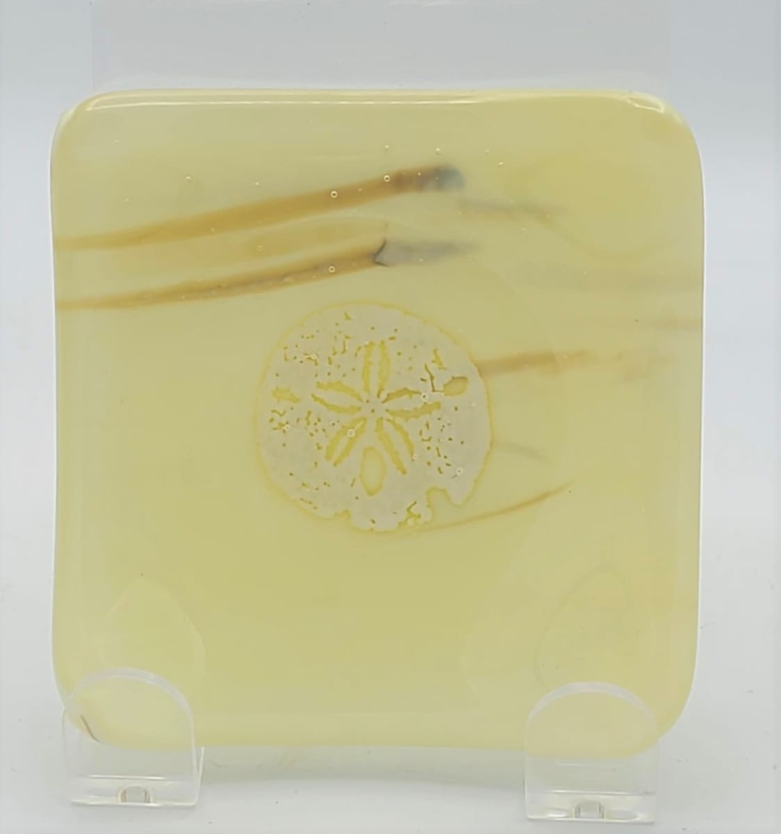 Small Plate with Sand Dollar on French Vanilla Streaky by Kathy Kollenburn 