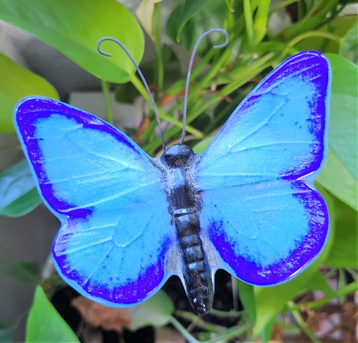 Plant PickButterfly in Blues by Kathy Kollenburn Artwork Archive