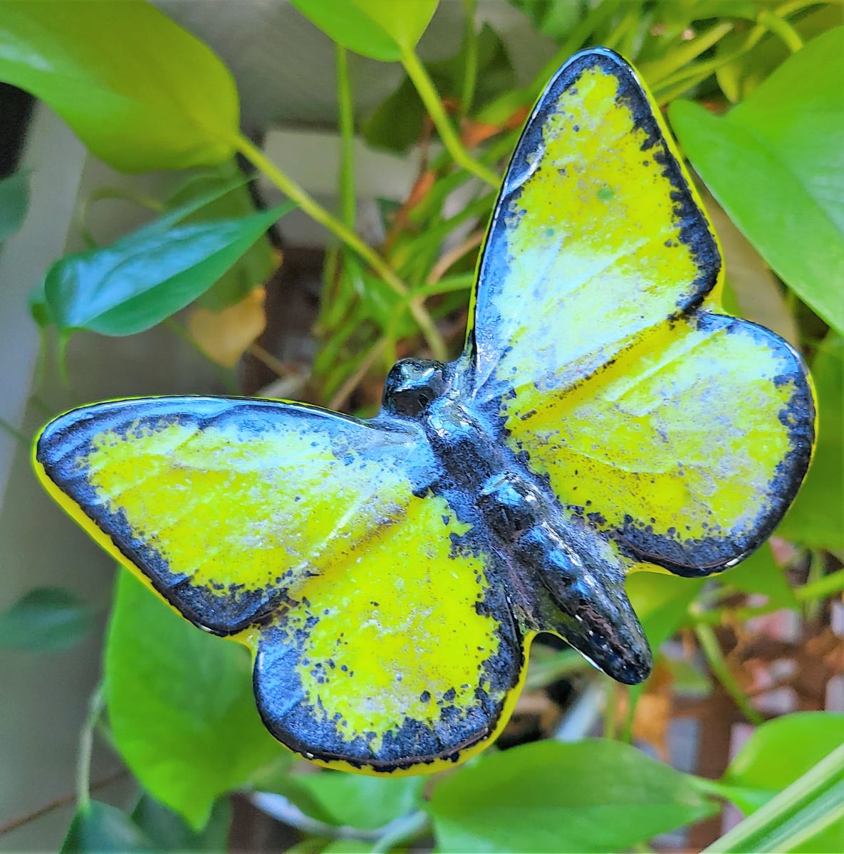Plant Pick-Butterfly in Yellow & Black 