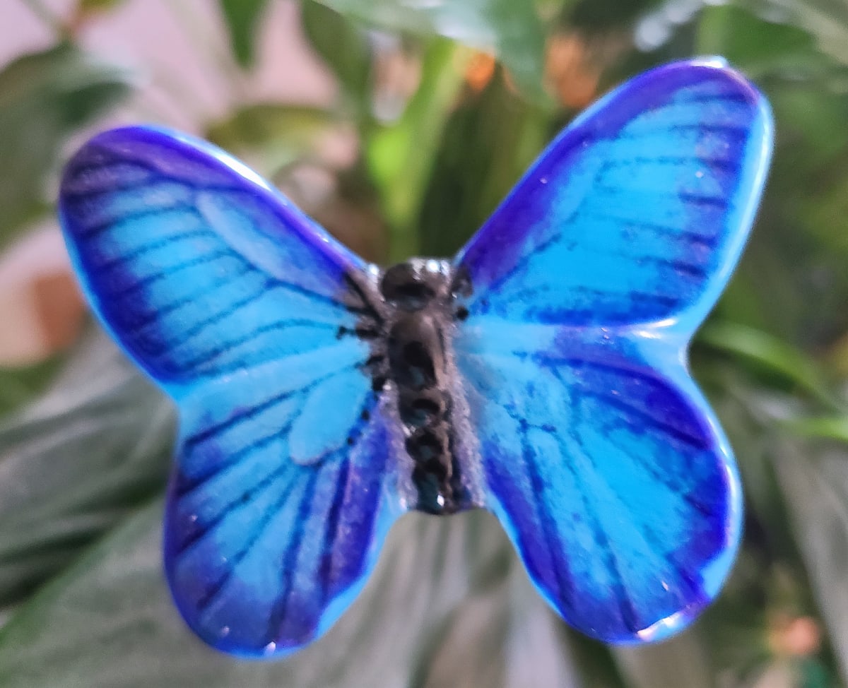 Plant Pick-Butterfly, Small-Blue & Black by Kathy Kollenburn 