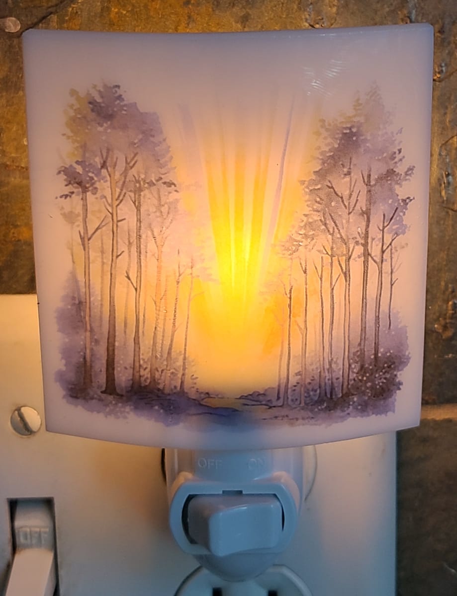 Nightlight, Sunrise in the Forest by Kathy Kollenburn 