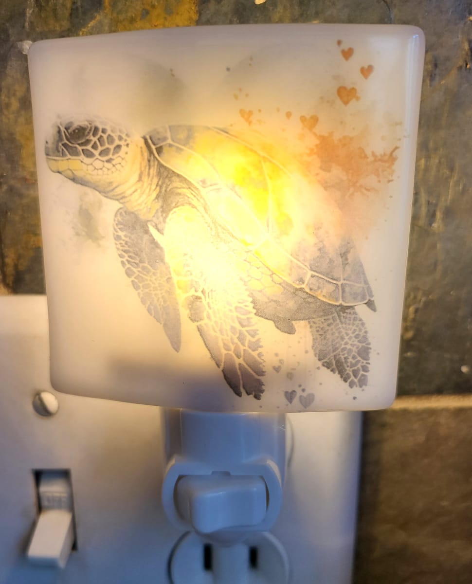 Nightlight with Sea Turtle by Kathy Kollenburn 