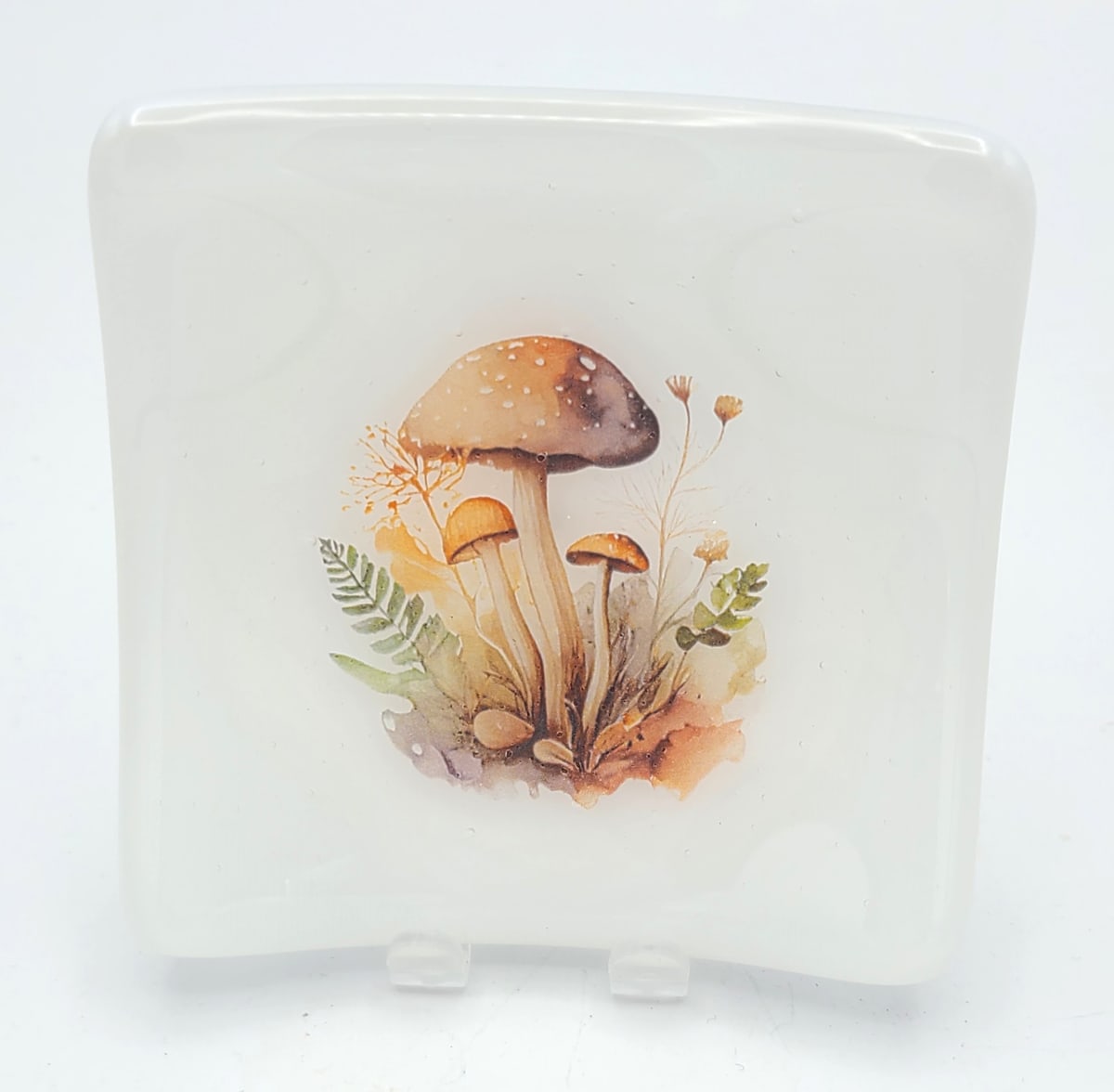 Small Plate with Mushrooms on White by Kathy Kollenburn 