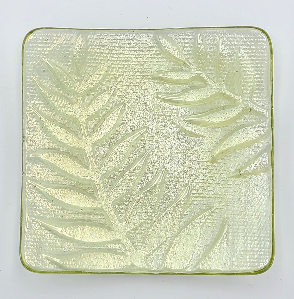 Plate-Light Amber with Fern Impressions by Kathy Kollenburn 