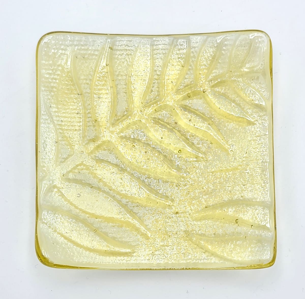 Small Plate-Gold Amber with Fern Impressions by Kathy Kollenburn 