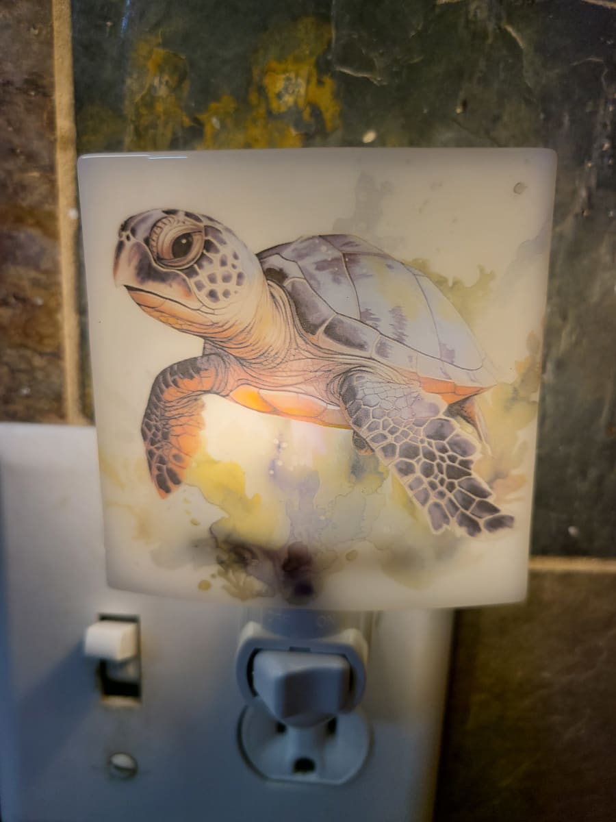 Nightlight-Sea Turtle by Kathy Kollenburn 