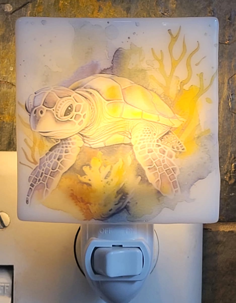 Nightlight-Sea Turtle by Kathy Kollenburn 