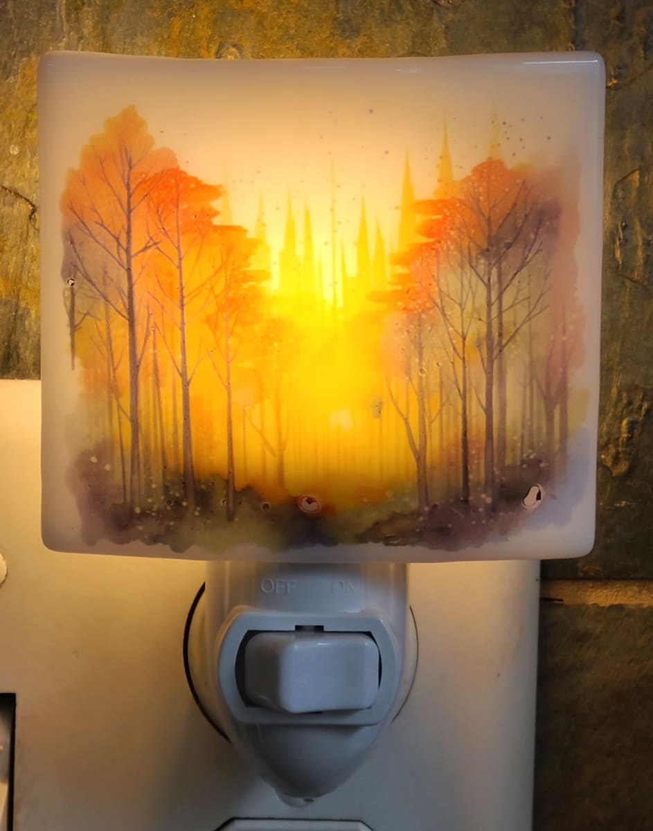 Nightlight-Evening Forest by Kathy Kollenburn 