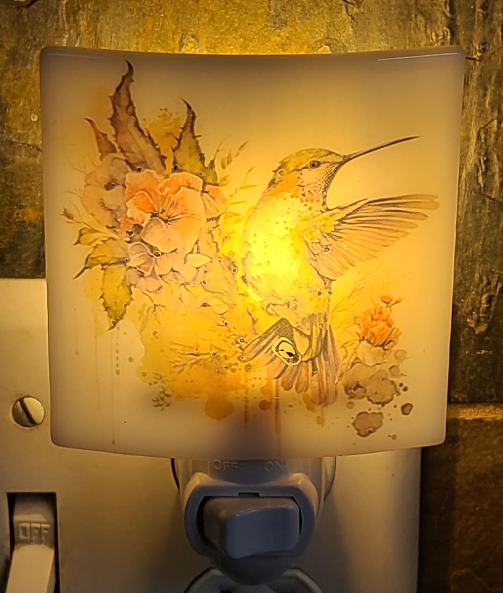 Nightlight with Hummingbird and Flowers by Kathy Kollenburn 