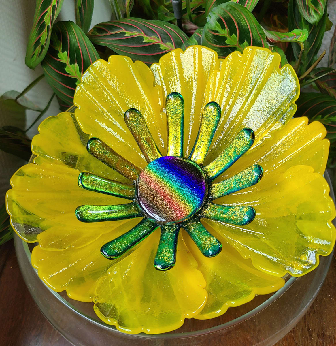 Garden Flower, Small-Yellow Streaky with Gold Dichroic and Dichroic Center by Kathy Kollenburn 