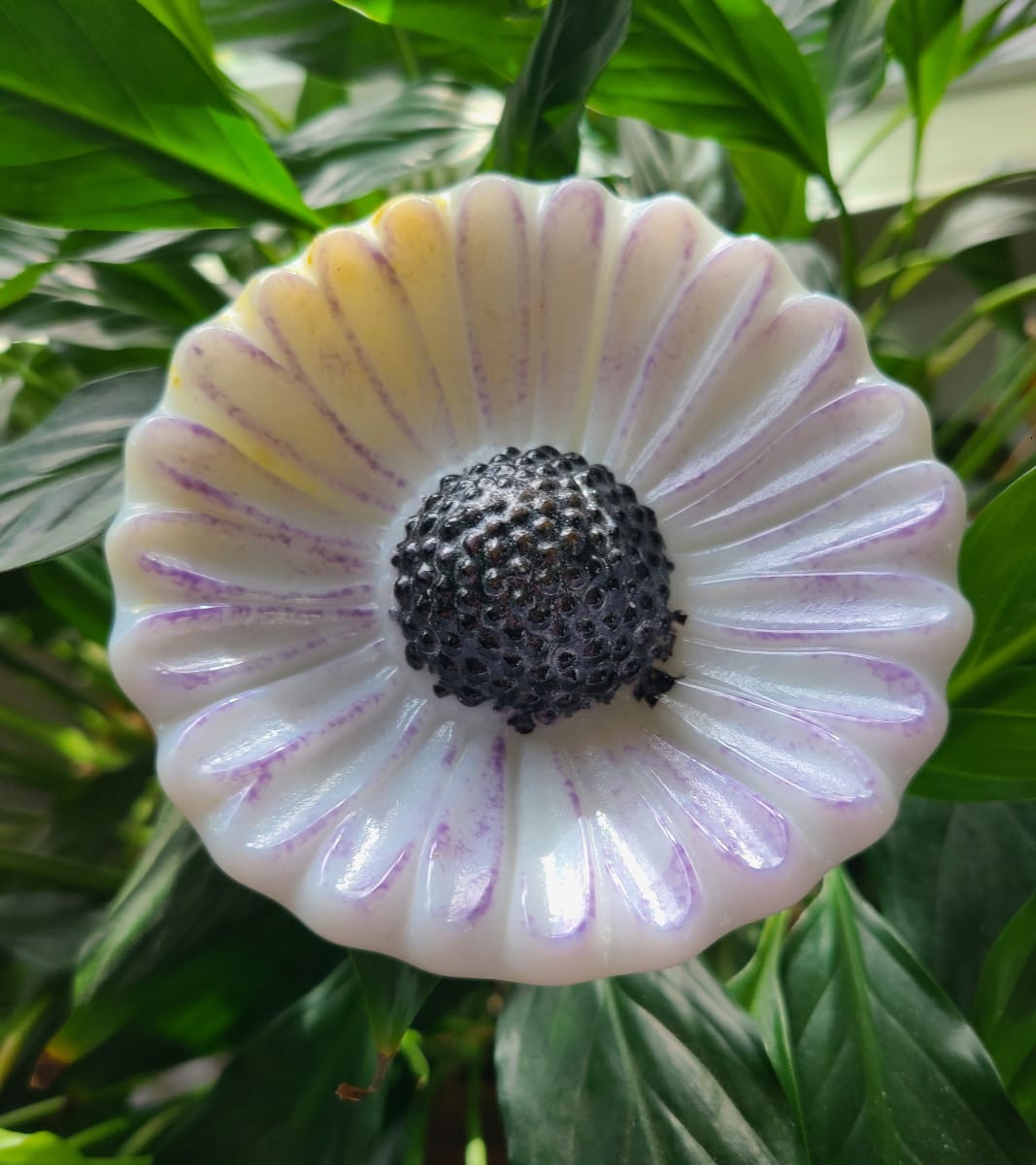 Plant Pick-White/Lavender Coneflower, Large by Kathy Kollenburn 