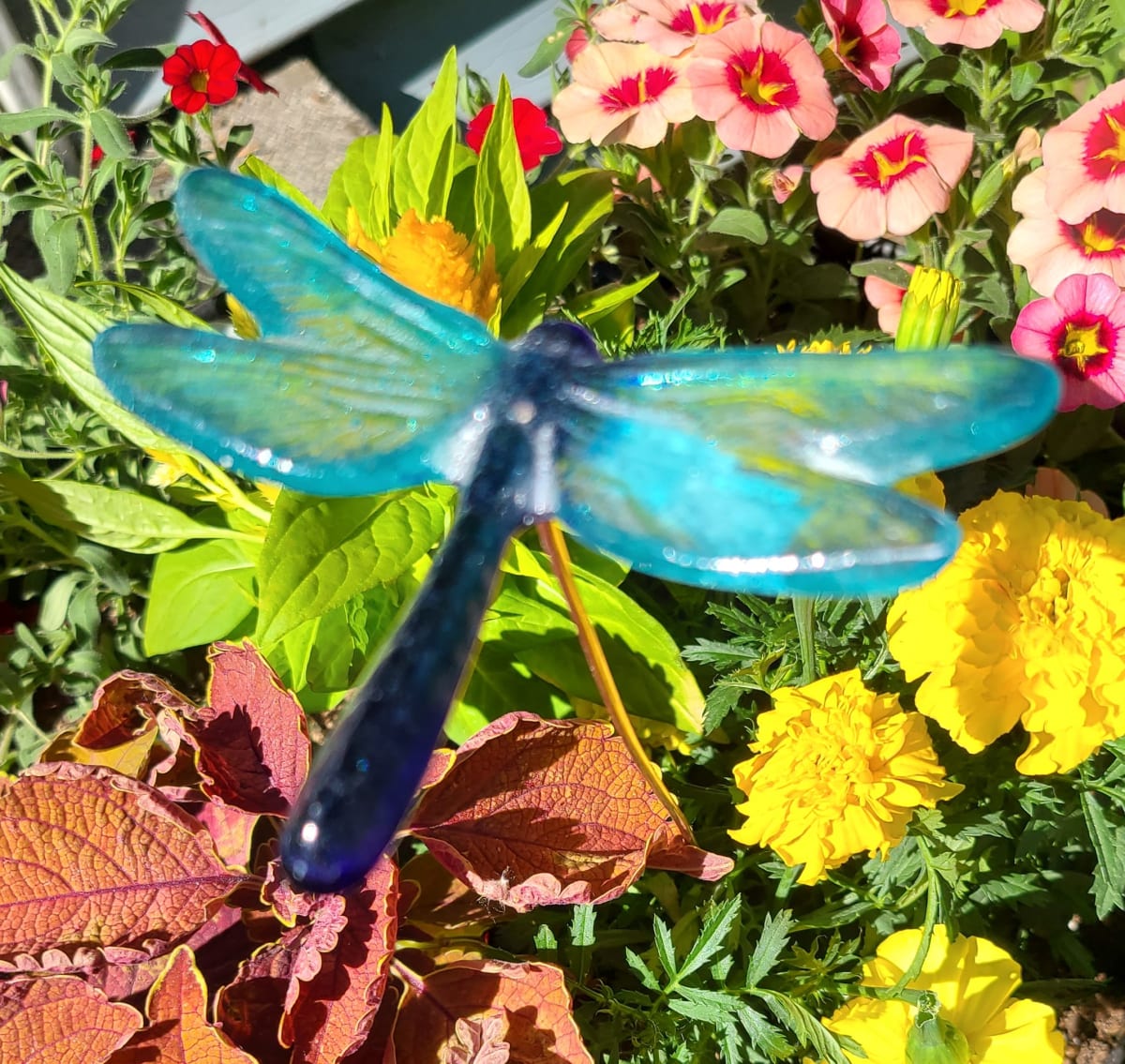 Plant Pick-Medium Dragonfly in Blues by Kathy Kollenburn 