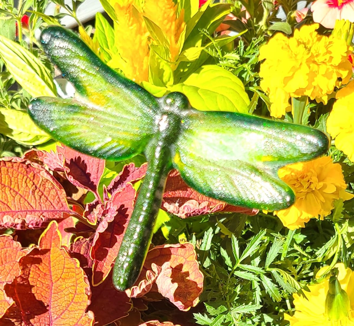 Plant Pick-Medium Dragonfly by Kathy Kollenburn 