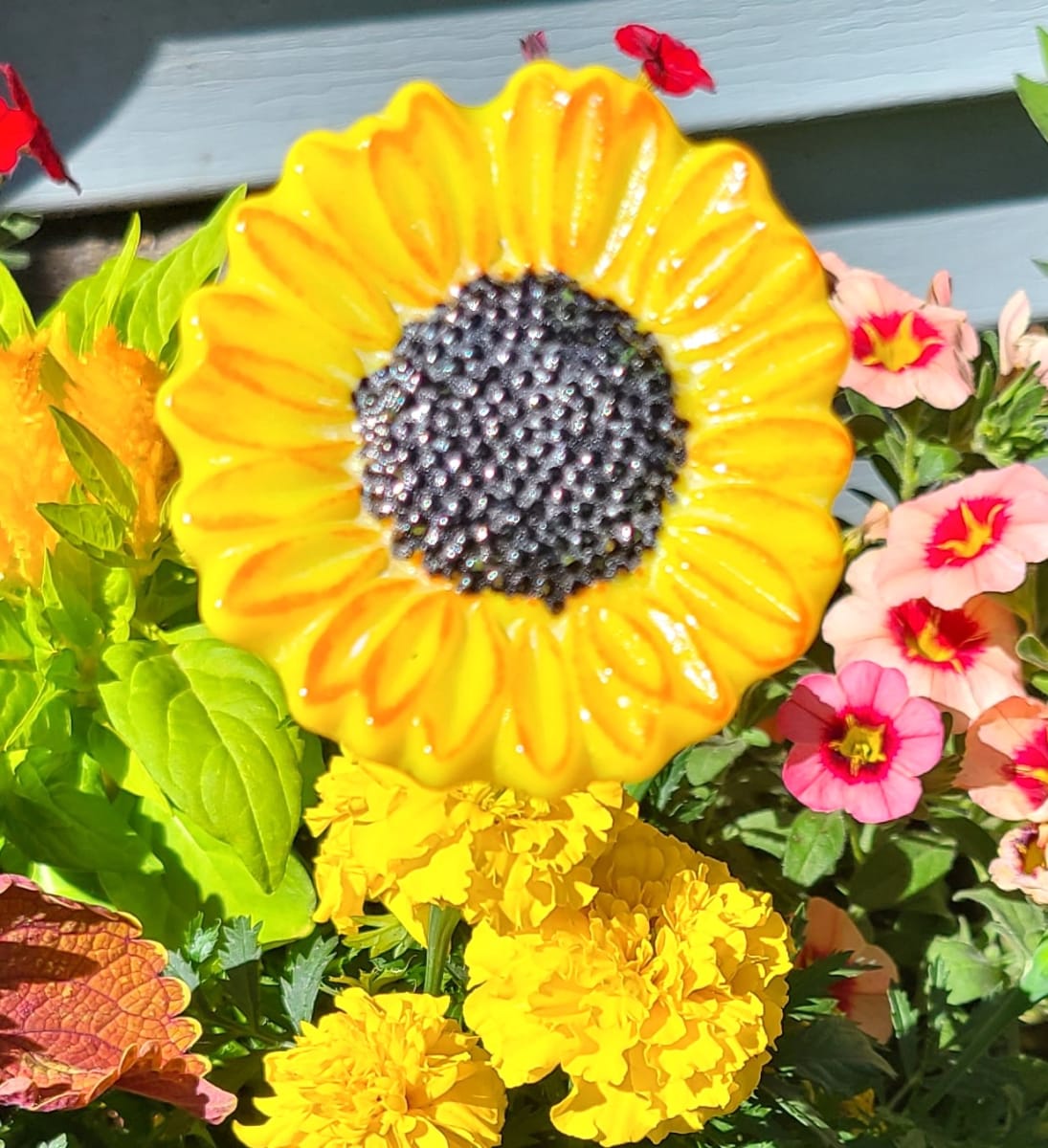 Plant Pick-Yellow Sunflower by Kathy Kollenburn 