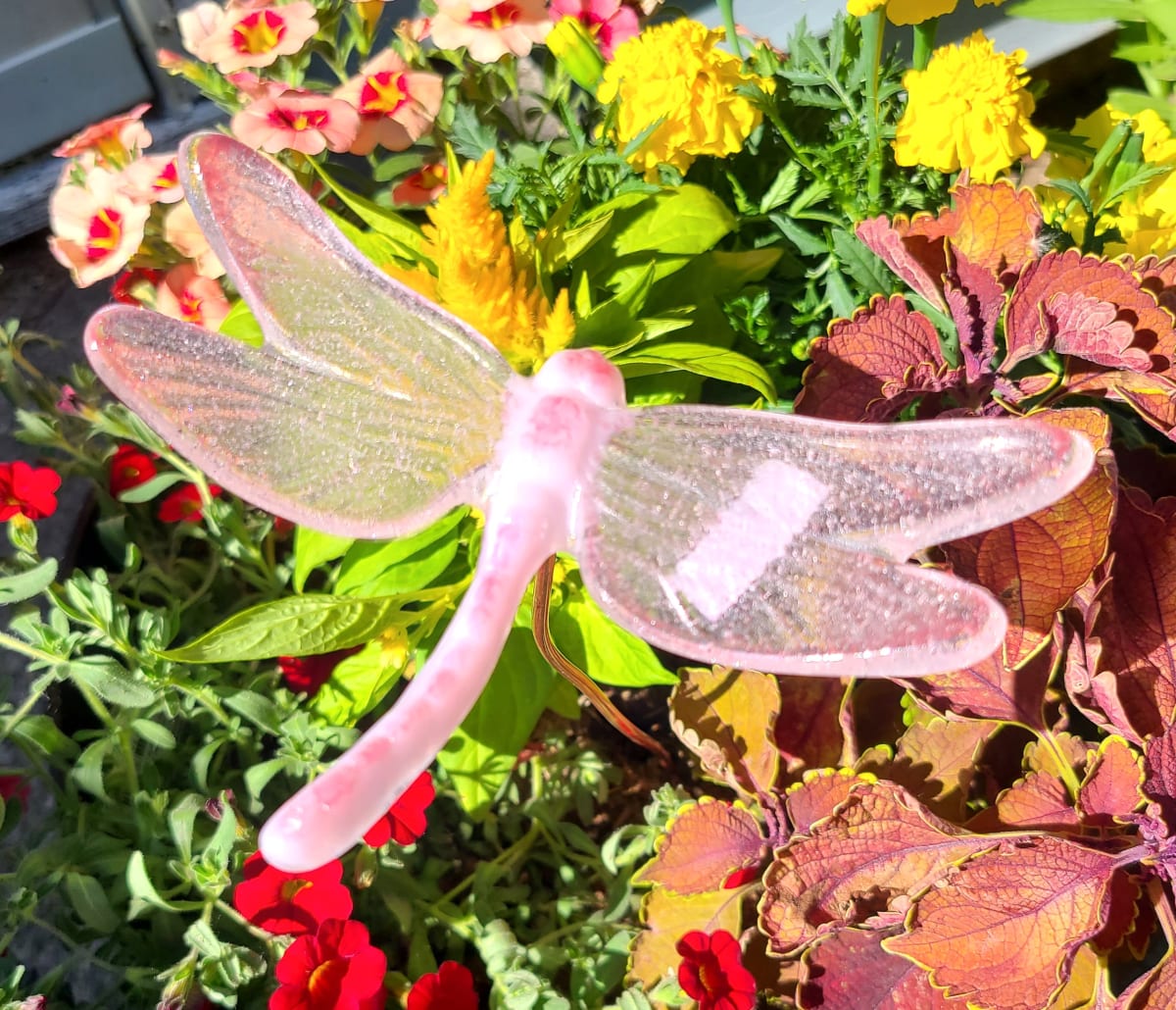 Plant Pick-Large Dragonfly in Pinks by Kathy Kollenburn 