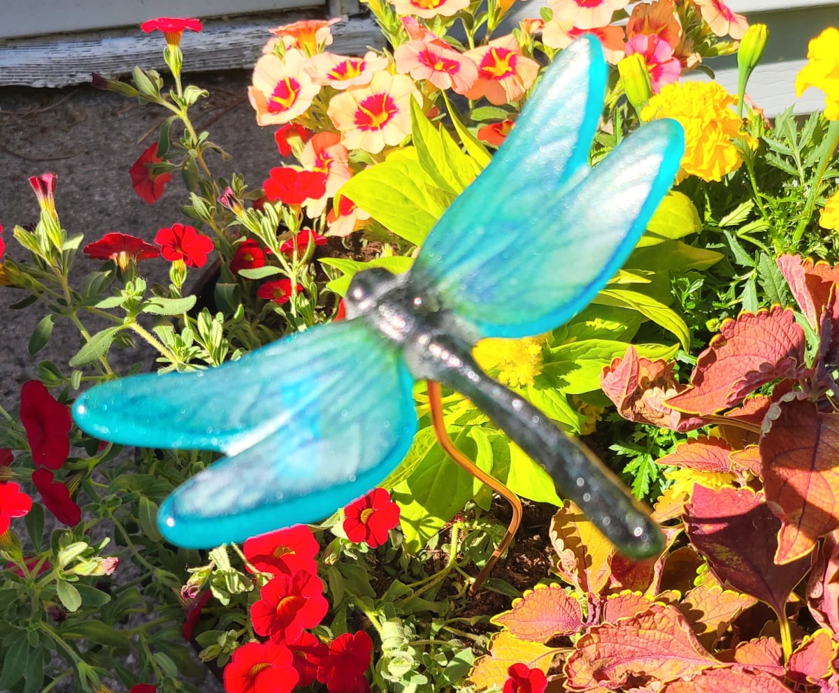 Plant Pick-Large Dragonfly, Turquoise/Green by Kathy Kollenburn 