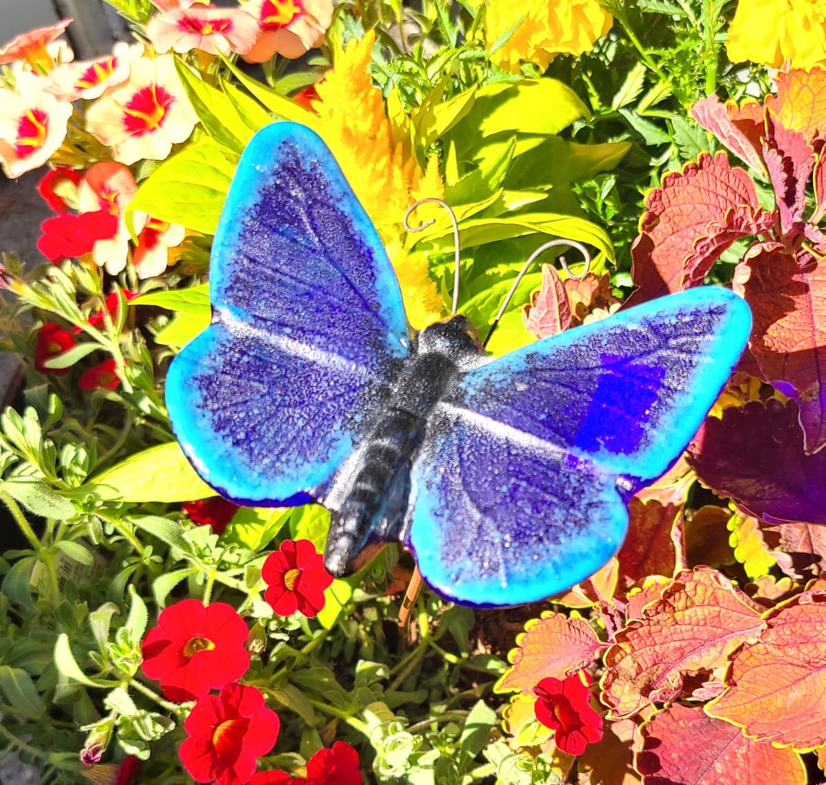 Plant Pick-Large Butterfly by Kathy Kollenburn 