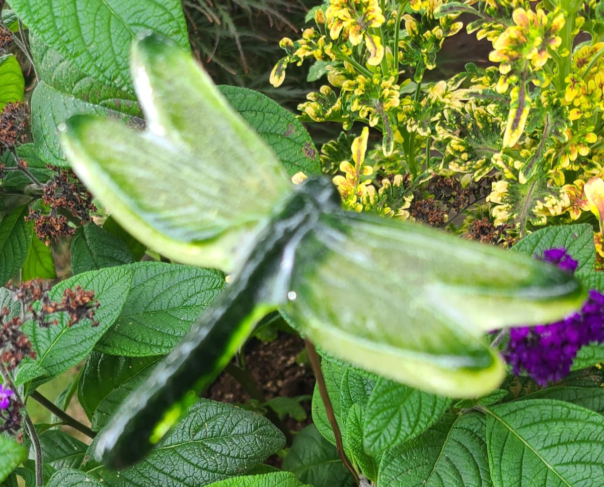 Plant Pick-Dragonfly, Medium in Greens by Kathy Kollenburn 