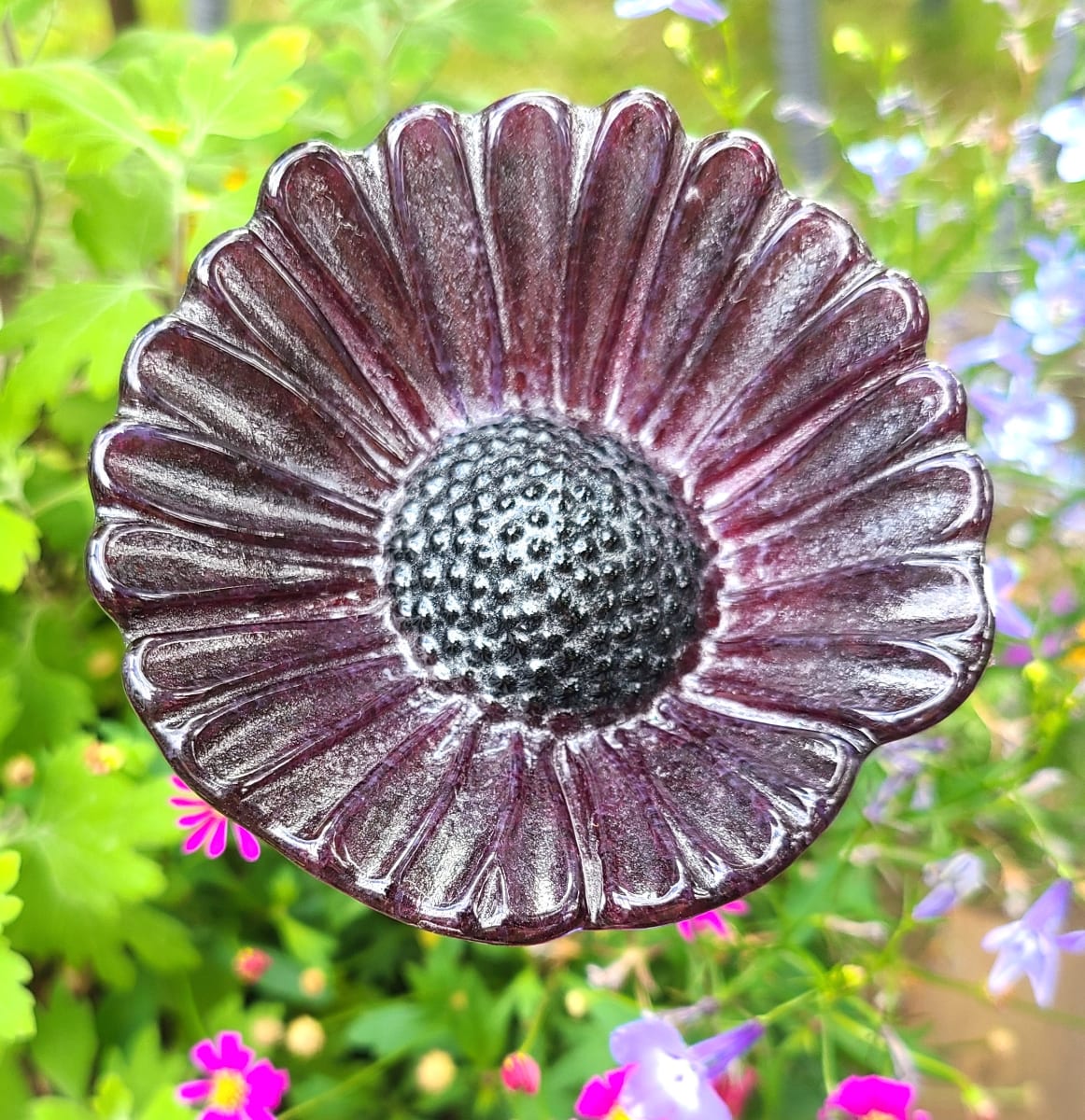 Plant Pick-Large Coneflower in Purple by Kathy Kollenburn 