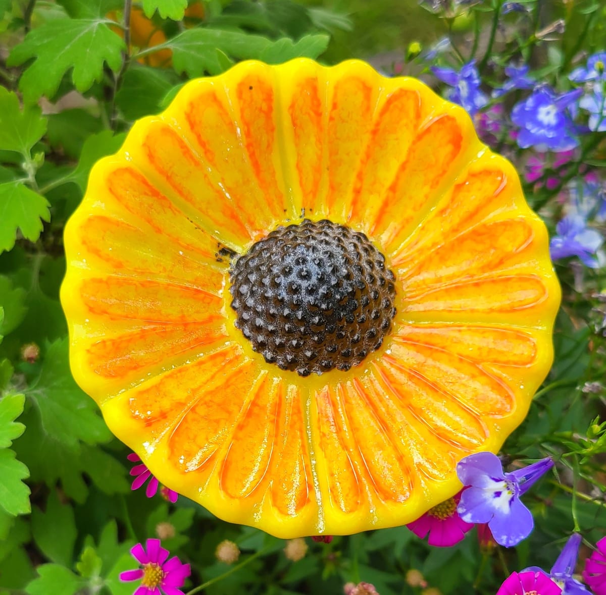 Plant Pick-Large Coneflower in Gold with Orange Edging by Kathy Kollenburn 