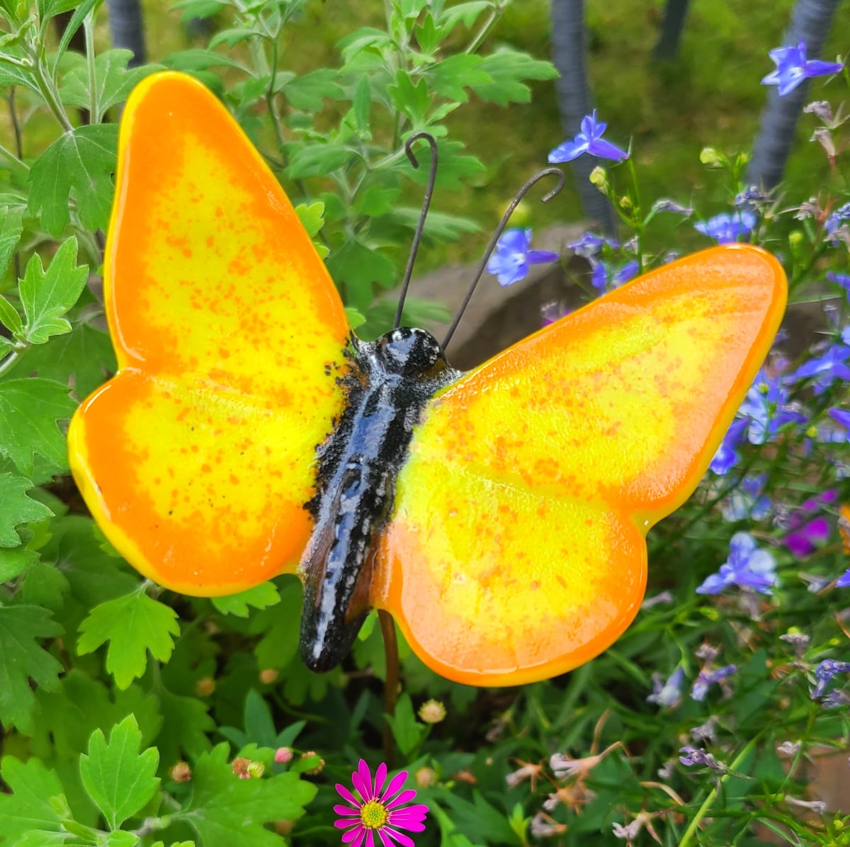 Plant Pick-Butterfly, Large in Yellow with Orange Edges by Kathy Kollenburn 