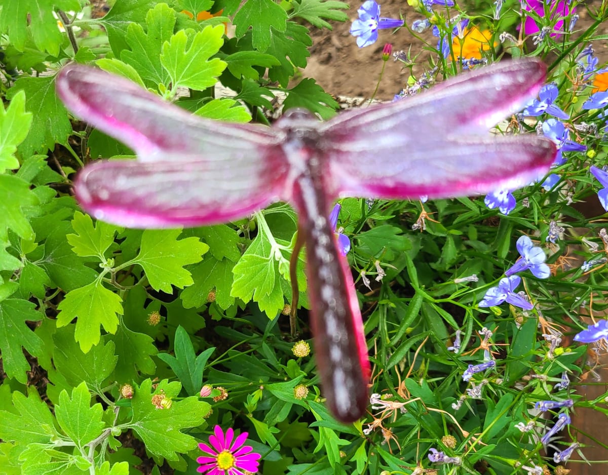 Plant Pick-Dragonfly, Small in Purples by Kathy Kollenburn 