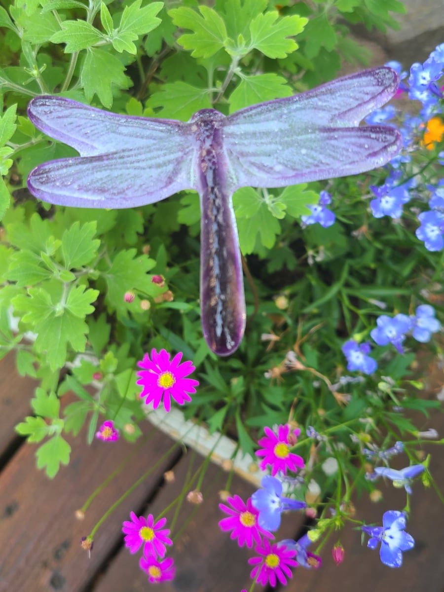 Plant Pick-Dragonfly, Medium in Purples by Kathy Kollenburn 