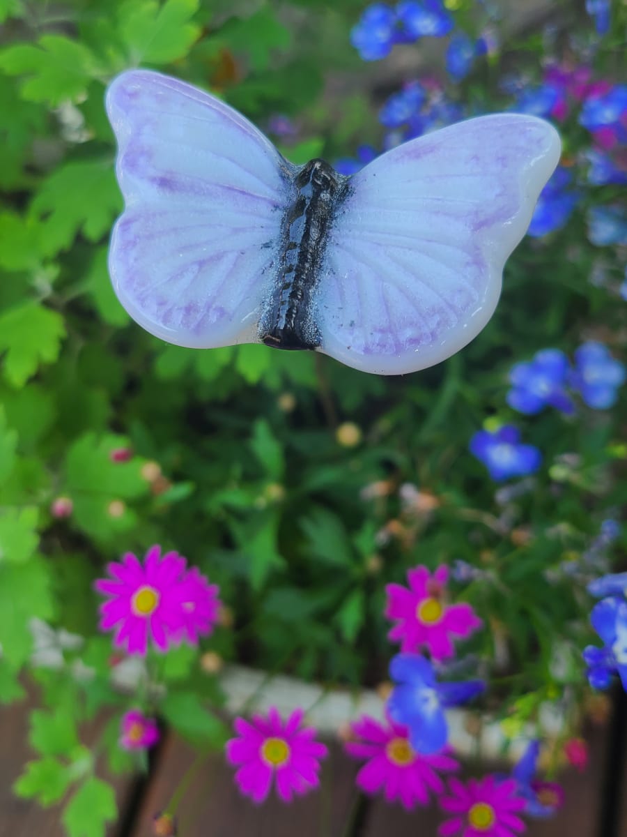 Plant Pick-Butterfly, Small in White with Purple Edges by Kathy Kollenburn 