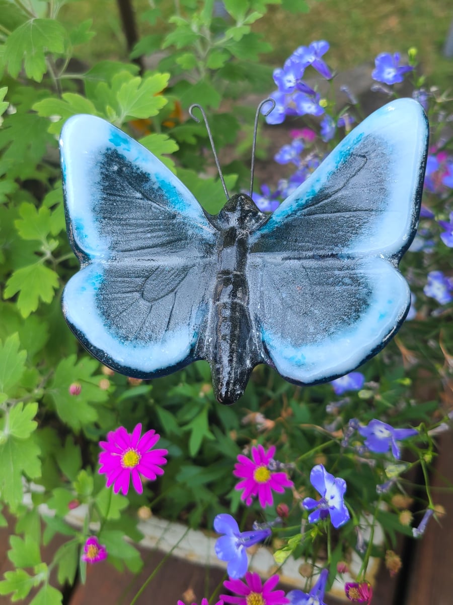 Plant Pick-Butterfly, Large in Peacock with White Edges by Kathy Kollenburn 